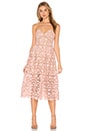 view 1 of 3 Azaelea Dress in Blush Pink