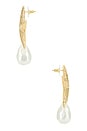 view 2 of 2 Mottled Gold Sea Star Pearl Earrings in Gold