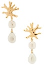 view 1 of 2 Gold Coral Pearl Earrings in Gold