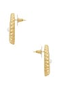 view 2 of 2 Gold Pearl Shell Earrings in Gold