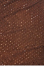 view 5 of 5 Rhinestone Mesh Cut Out Top in Brown
