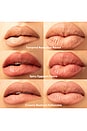 view 8 of 8 Professional Lip Combo Set in Tamarind Reduction Ravioli