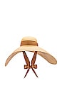view 3 of 3 Haute Beach Hat in Beige & Sable Band