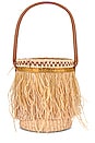 view 1 of 4 Feathers Mini Bucket Bag in Beige