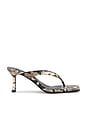 view 1 of 5 Elvie III Sandal in Python