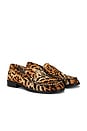 view 1 of 5 Cooper VII Loafer in Cheetah