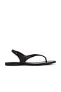 view 1 of 5 Nessa Sandal in Ebony