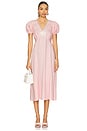 view 1 of 4 The Genus Rosa Dress in Pink Vichy