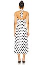view 3 of 3 Jardin Halter Neck Maxi Dress in Polka Dot Black & White