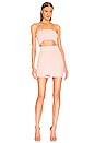 view 1 of 4 Lola Dress in Cintz Rose