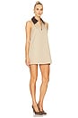 view 3 of 4 Jiles Mini Dress in Sand