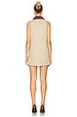 view 4 of 4 Jiles Mini Dress in Sand