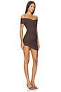 view 2 of 3 Deniz Mesh Mini Dress in Ash Brown