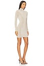 view 2 of 3 Nara Mini Dress in Concrete