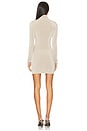 view 3 of 3 Nara Mini Dress in Concrete