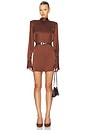 view 1 of 4 Angrea Dress in Burnt Toffee