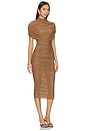 view 2 of 3 Riondra Mesh Dress in Butterscotch