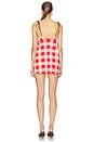 view 3 of 3 Shantie Dress in Geranium Gingham