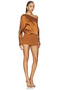 view 2 of 3 Wally Dress in Heritage Tan