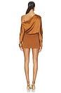 view 4 of 3 Wally Dress in Heritage Tan