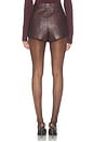 view 5 of 6 Tomassi Short in Bordeaux