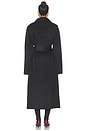 view 4 of 4 Lyli Wool Coat in Dark Charcoal
