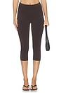 view 1 of 6 LEGGINGS CAPRI PETRA in Bosun Brown