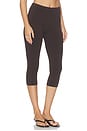 view 2 of 6 LEGGINGS CAPRI PETRA in Bosun Brown