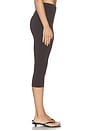 view 3 of 6 LEGGINGS CAPRI PETRA in Bosun Brown