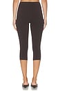 view 4 of 6 LEGGINGS CAPRI PETRA in Bosun Brown