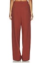 view 6 of 7 Caro Pant in Copper Clay