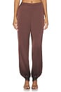 view 1 of 6 PANTALON PRIYA  in Burnt Clove