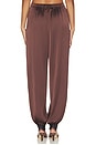 view 5 of 6 PANTALON PRIYA  in Burnt Clove