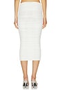 view 4 of 6 Pia Mesh Midi Skirt in Eggshell