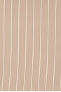view 5 of 5 Angelina Vest Top in Oak & Eggshell Pinstripe