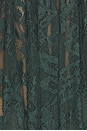view 7 of 6 BODY ISOLA in Evergreen