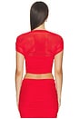 view 3 of 4 Marsh Mesh Top in Derby Red
