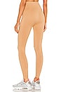view 3 of 4 LEGGINGS in Pampas