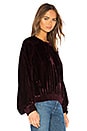 view 2 of 4 Velvet Pullover Sweatshirt in Dark Bordeaux