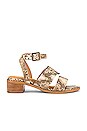 view 1 of 5 Exhilarating Sandal in Tan Exotic