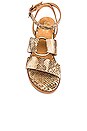 view 4 of 5 Exhilarating Sandal in Tan Exotic