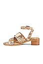 view 5 of 5 Exhilarating Sandal in Tan Exotic