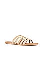 view 2 of 5 Topanga Sandal in Natural Raffia