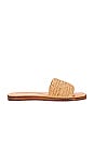 view 1 of 5 Palms Perfection Sandal in Tan Woven