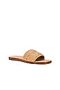 view 2 of 5 Palms Perfection Sandal in Tan Woven