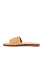 view 5 of 5 Palms Perfection Sandal in Tan Woven