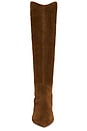 view 4 of 5 Love in A Mist Boot in Brown Suede