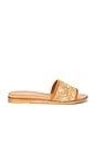 view 1 of 5 Dakota Sandal in Natural Raffia