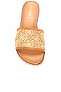 view 4 of 5 Dakota Sandal in Natural Raffia