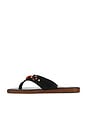 view 5 of 5 Top Of The World Sandal in Black Suede